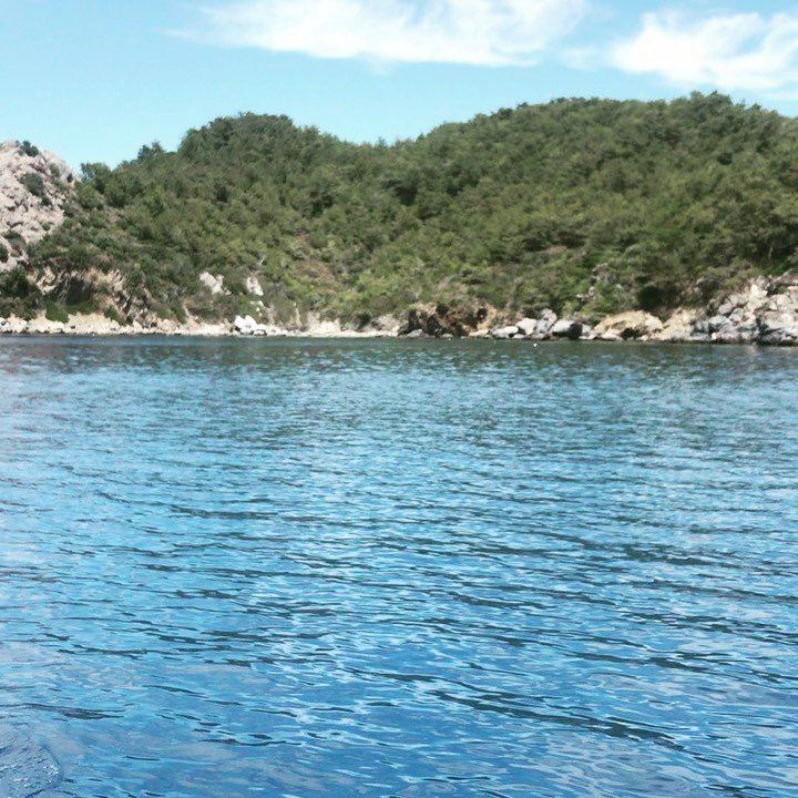 Turkuaz koy