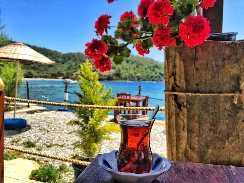 Sardunya ve çay